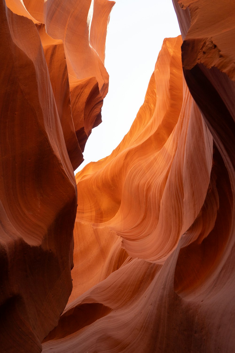 a narrow slot in the side of a rock formation