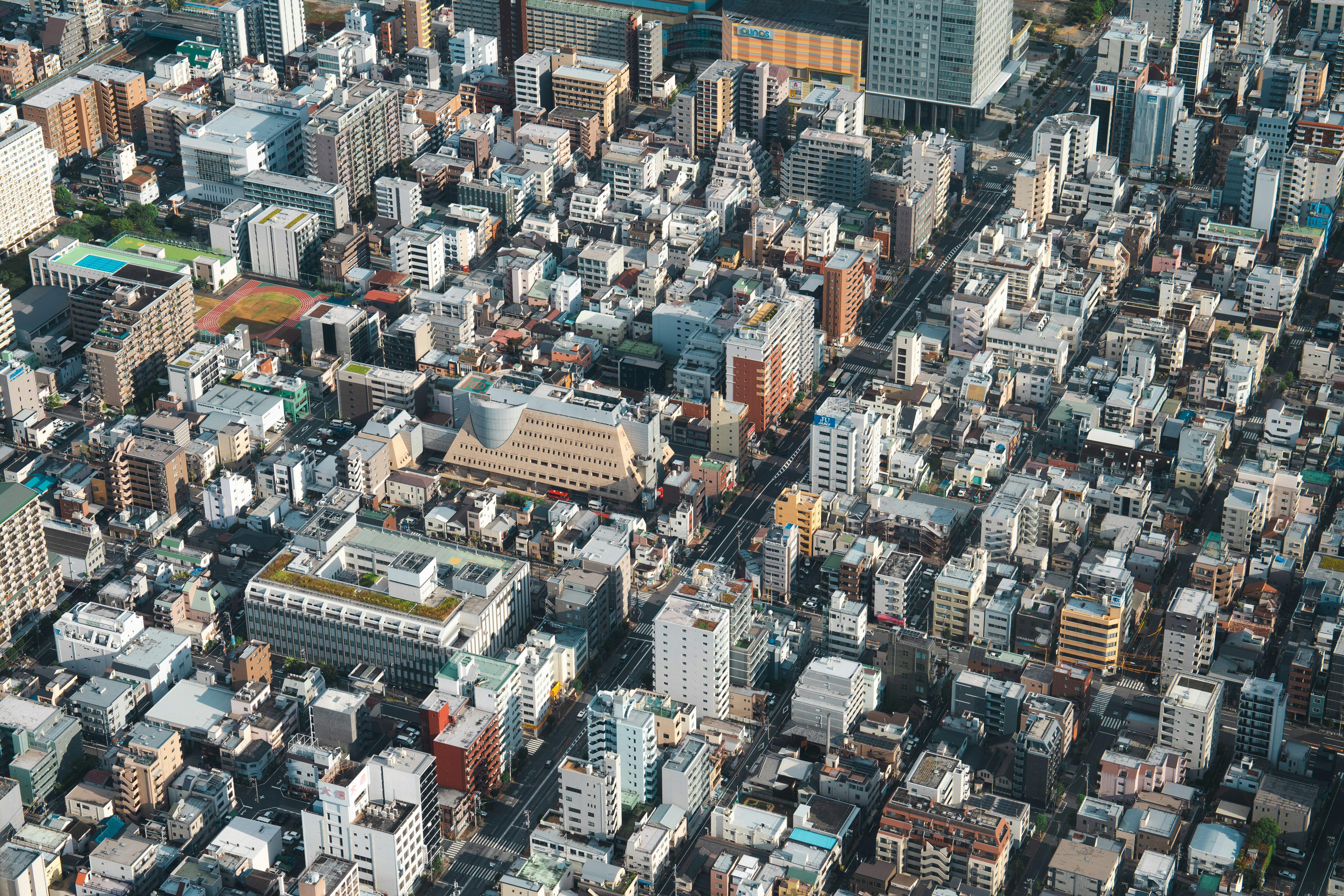 Photo by taro_ohtani