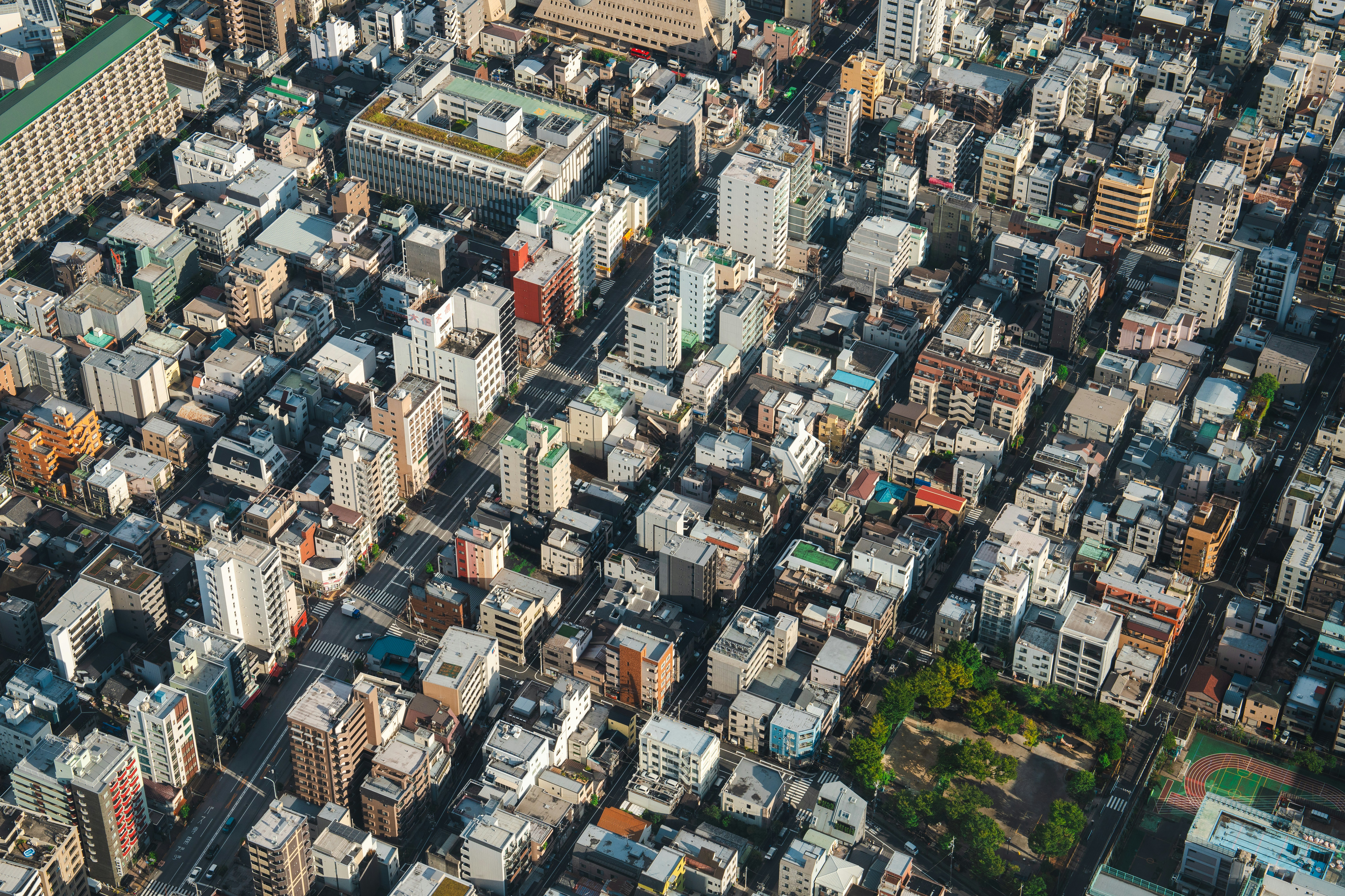 Photo by taro_ohtani