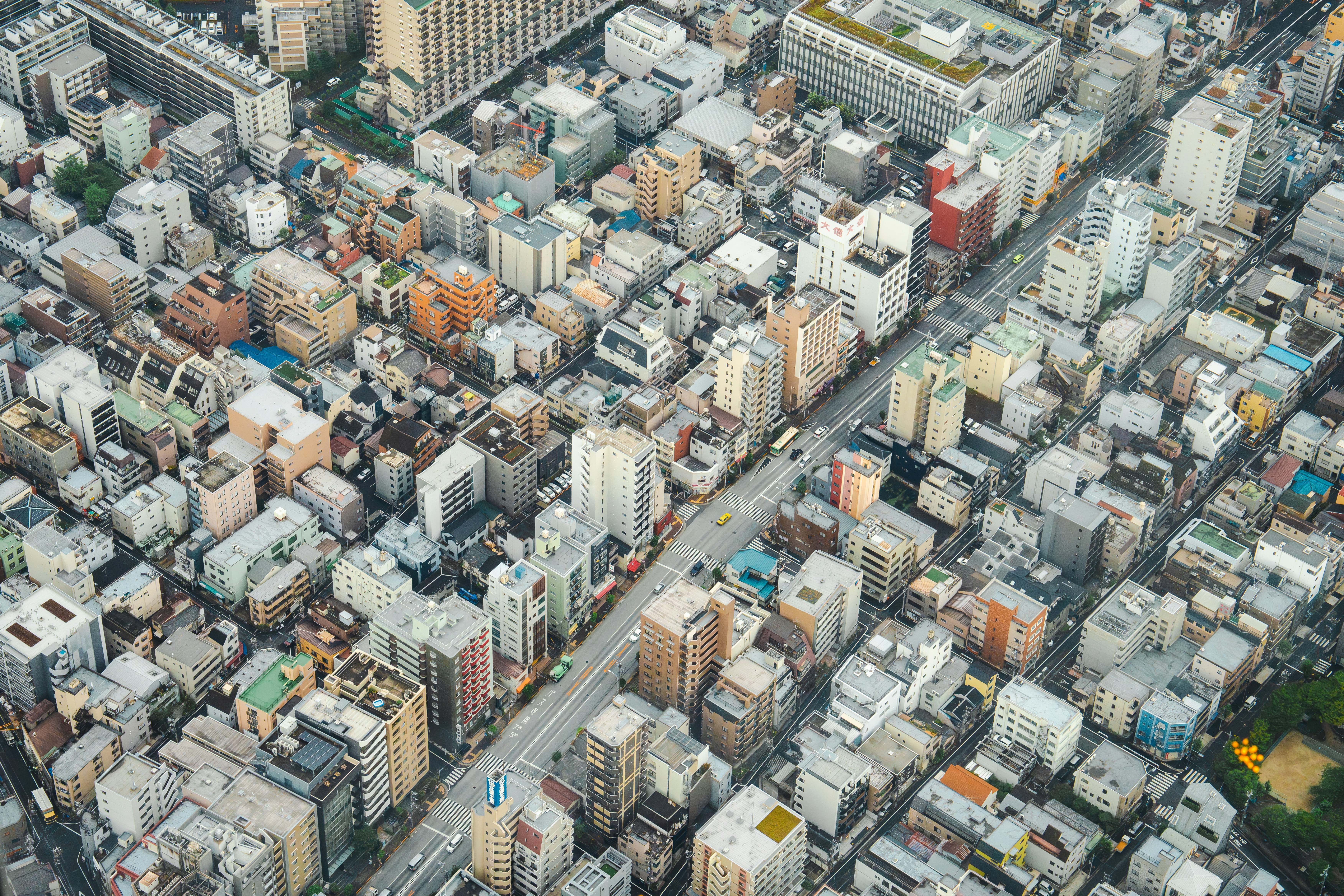 Photo by taro_ohtani