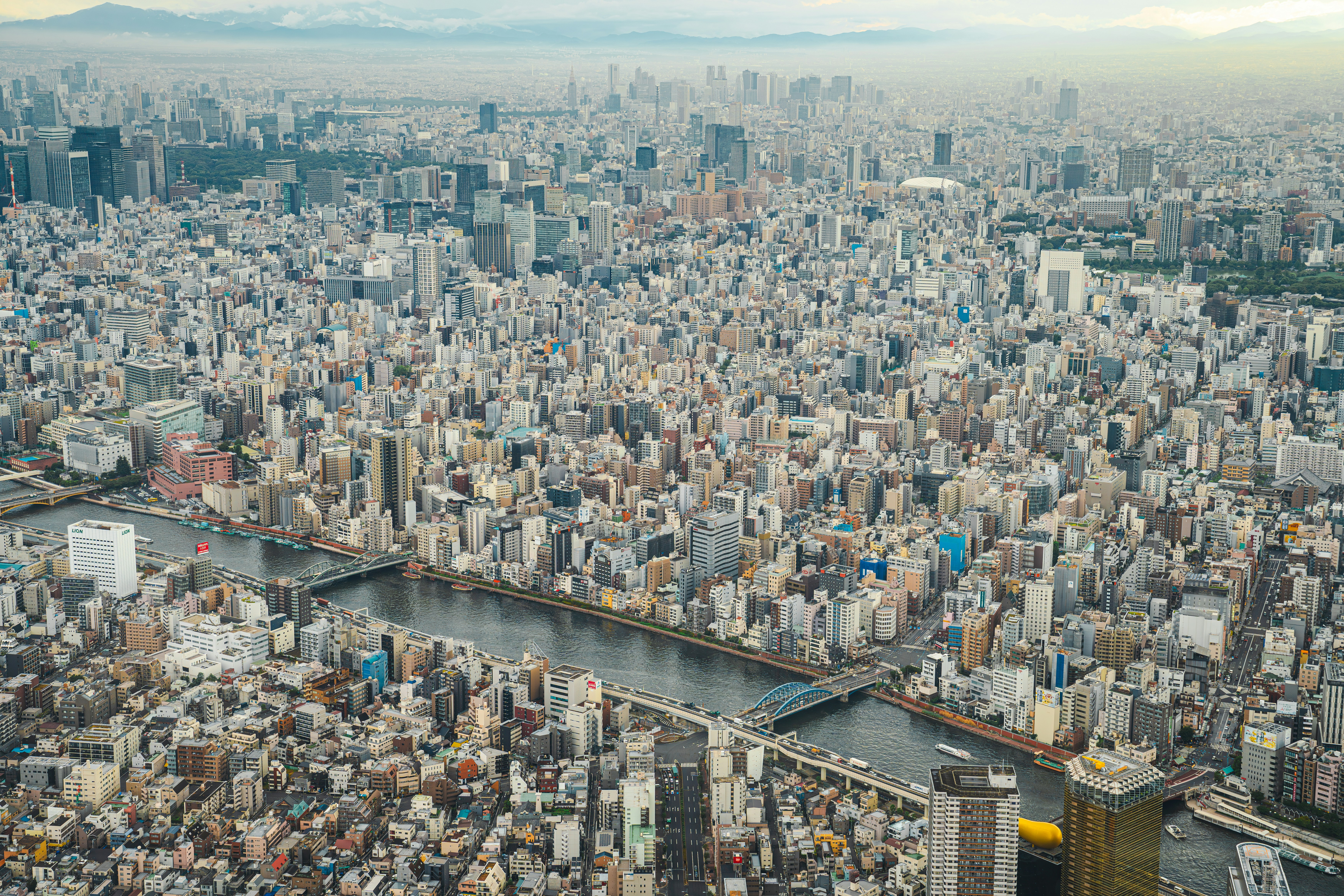 2. ​目元の悩みクマを消す鍼灸テクニックとその効果