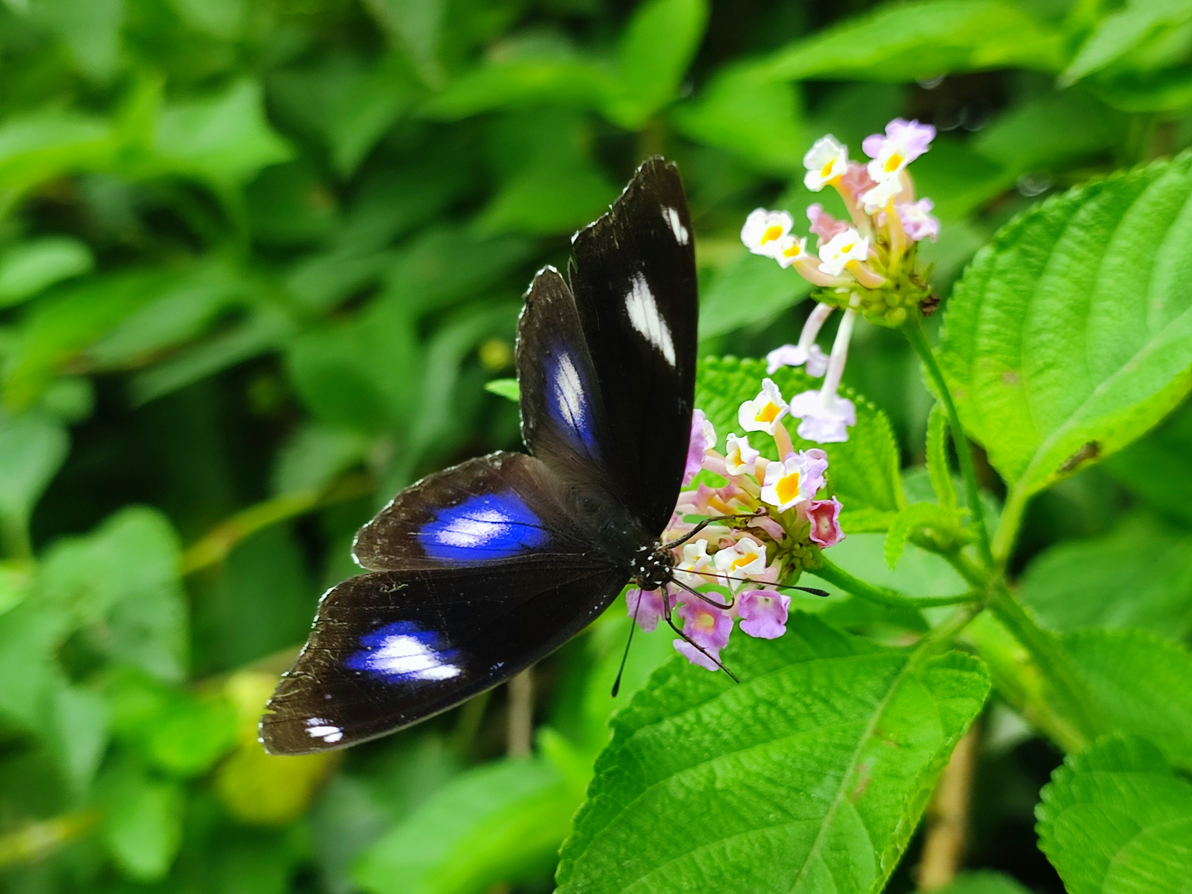 Photo by imageshutter85