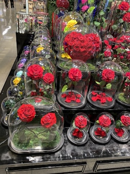 A variety of vibrant roses encased in transparent glass domes are displayed on a dark, glossy table. The roses come in multiple colors including red, yellow, and purple, with one large arrangement shaped like a heart made of red roses. The individual flowers are set on green moss, adding a natural touch to their presentation.