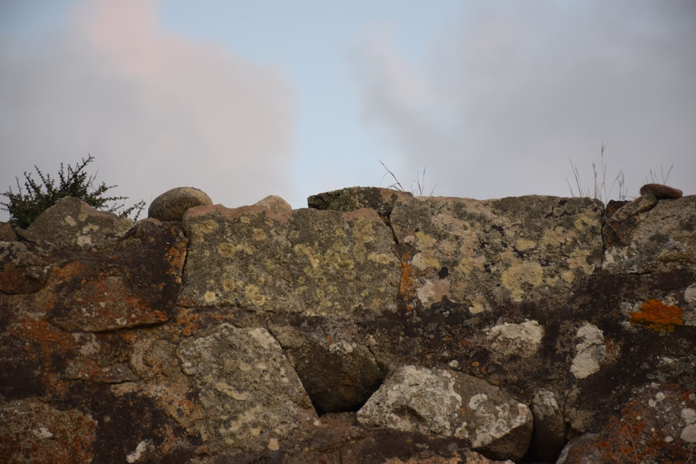 a rock wall with moss growing on it