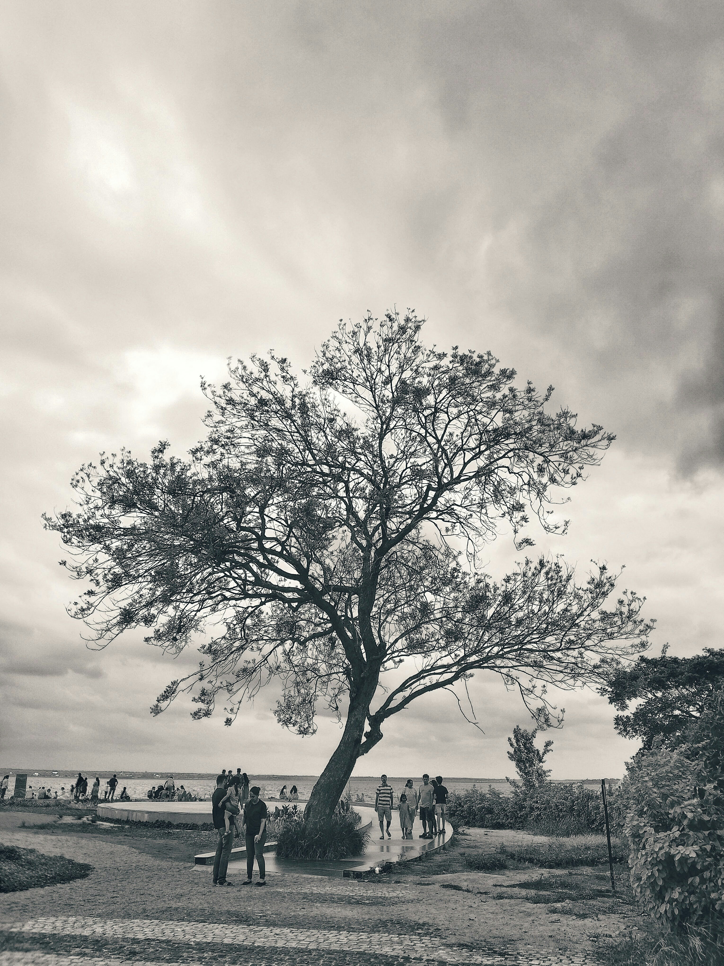 What Colors to Mix with Gold for Christmas Tree | TikTok, image size:3000x4000