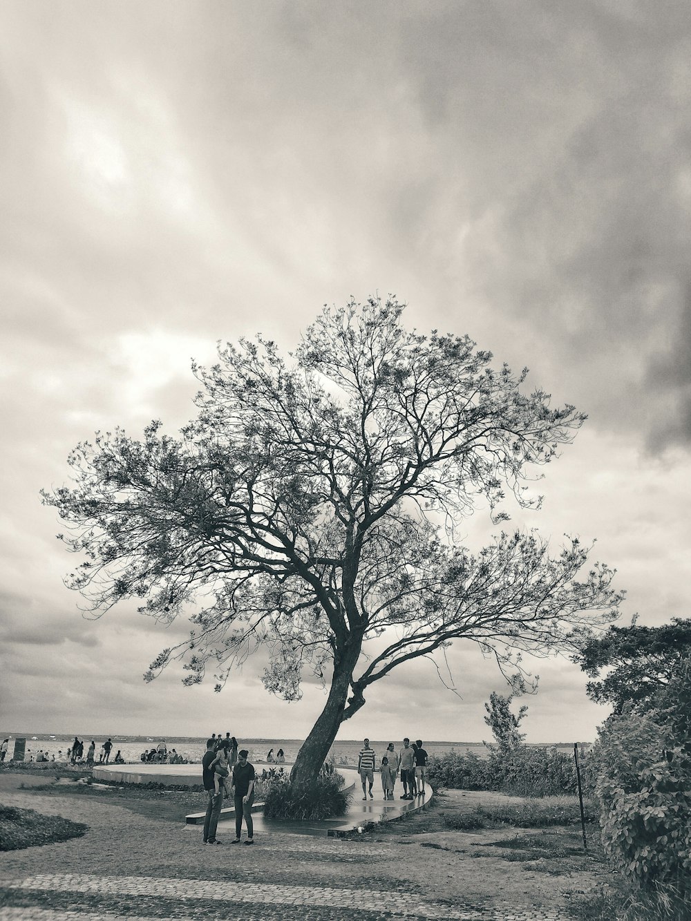 a black and white photo of people standing under a tree