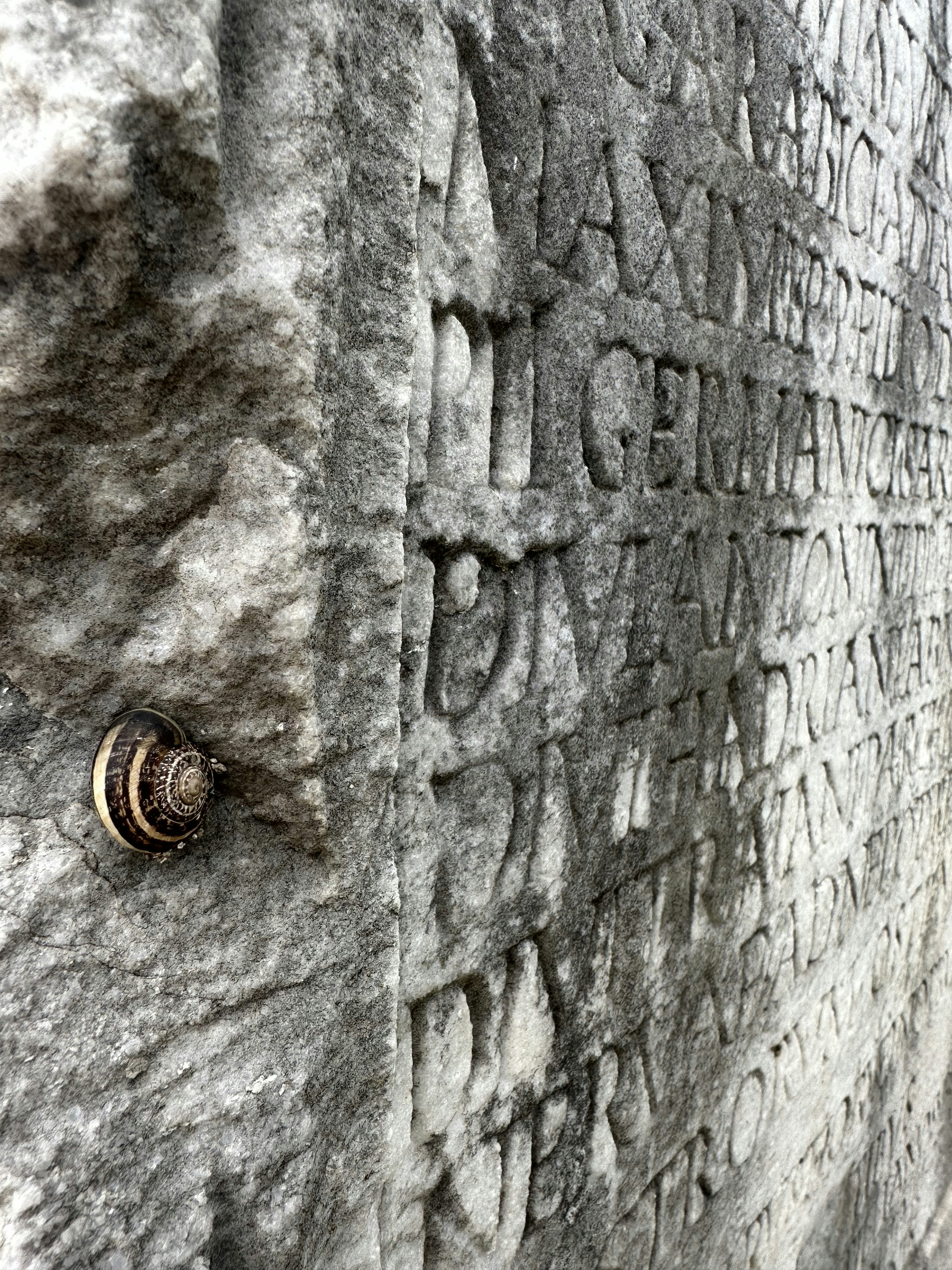 ancient ruins wallpaper, wallpaper, Sejarah Jolotundo: Kompleks Peninggalan Kerajaan Majapahit 6