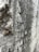 Close-up view of an ancient stone wall with engraved Latin script and a snail crawling on it.