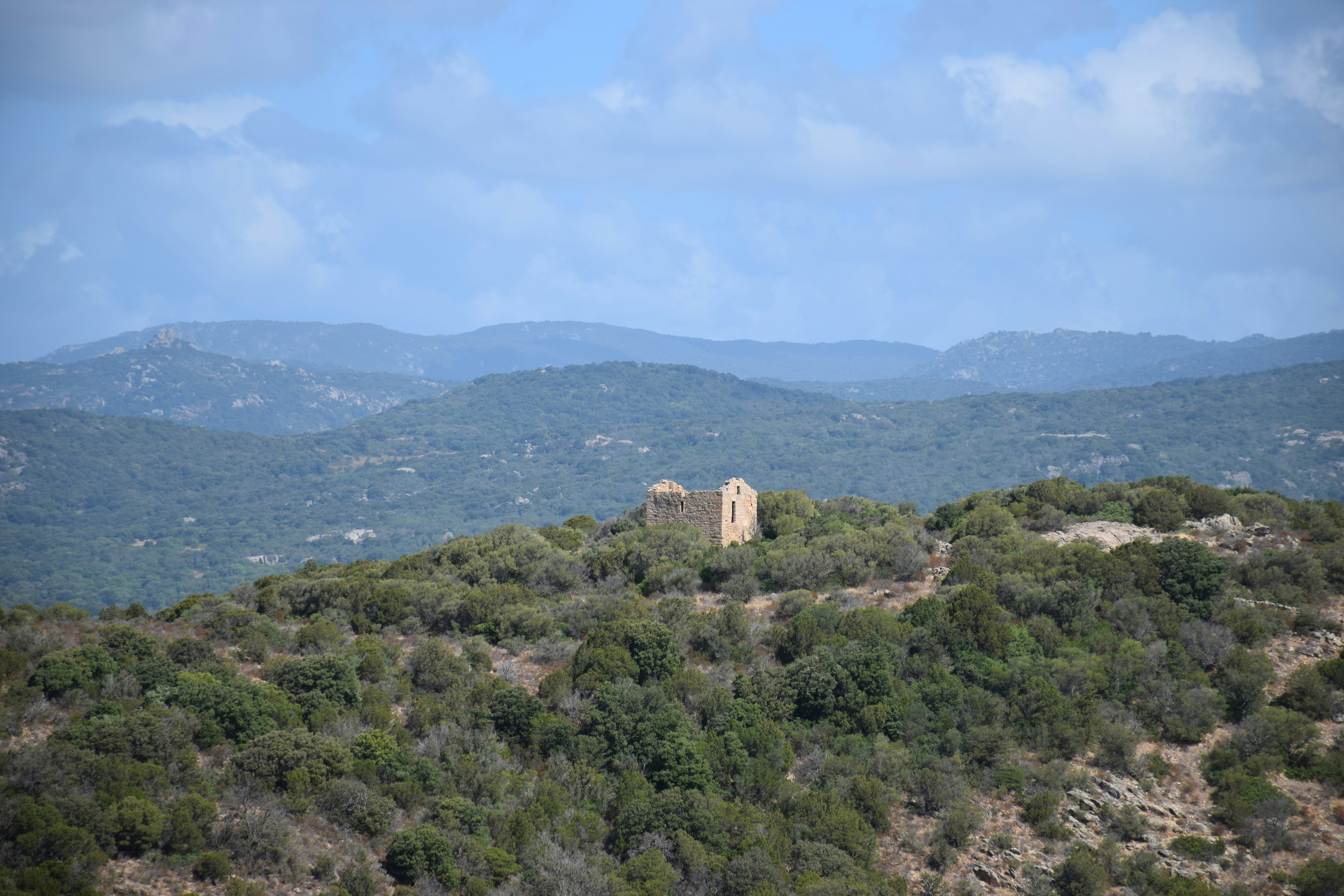a building on top of a hill surrounded by trees