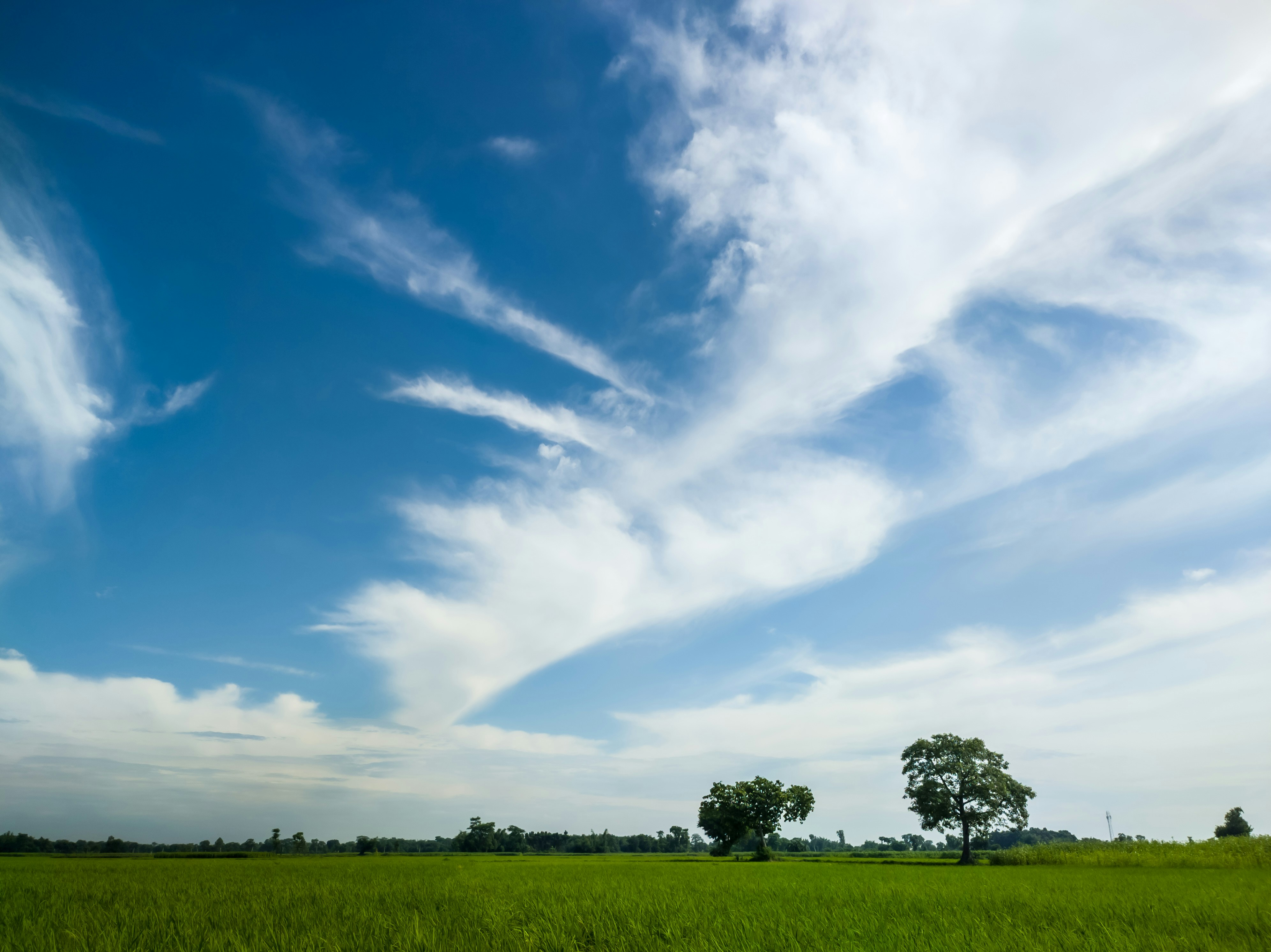 Photo by imageshutter85