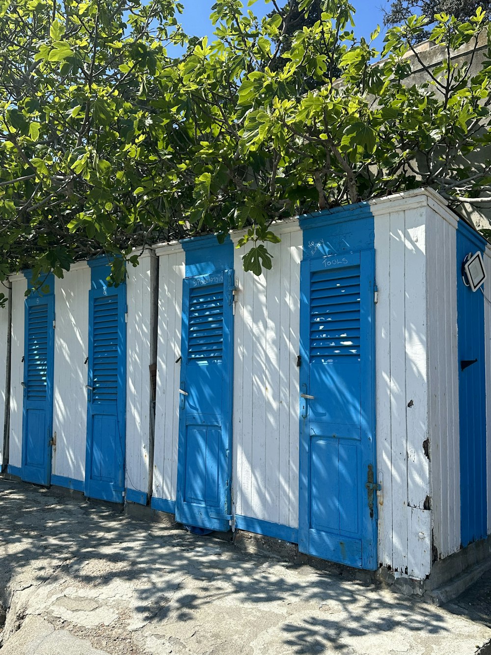 a row of blue and white beach huts under a tree