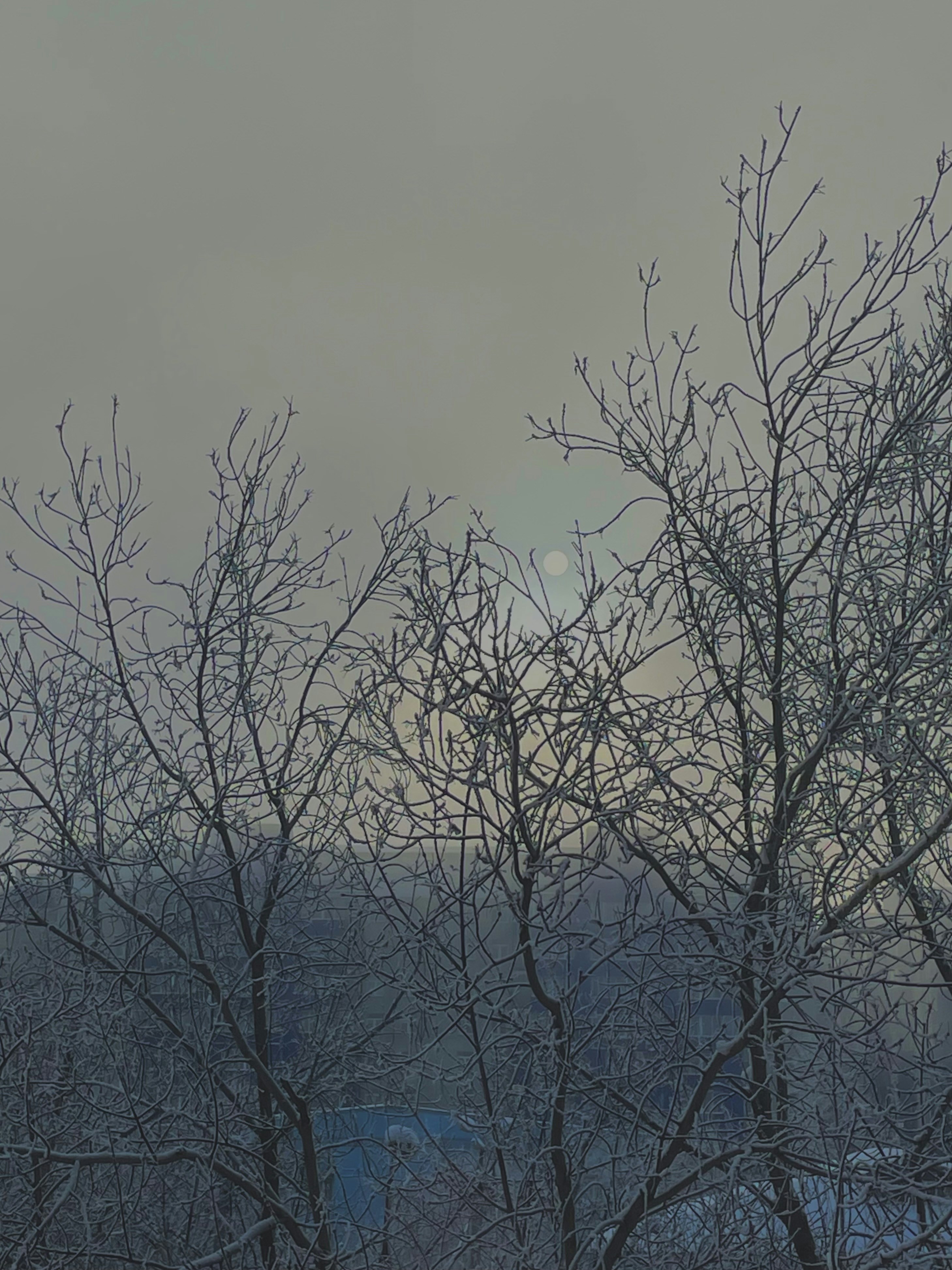 Photo by solsahor