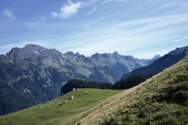 A panoramic view of a mountainous landscape with lush green hillsides in the foreground. Several cows are grazing peacefully on the grass. The background features a range of towering peaks and textured ridges under a sky filled with wispy clouds.