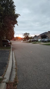 Sunset view over a quiet residential street with street lamps and trees.