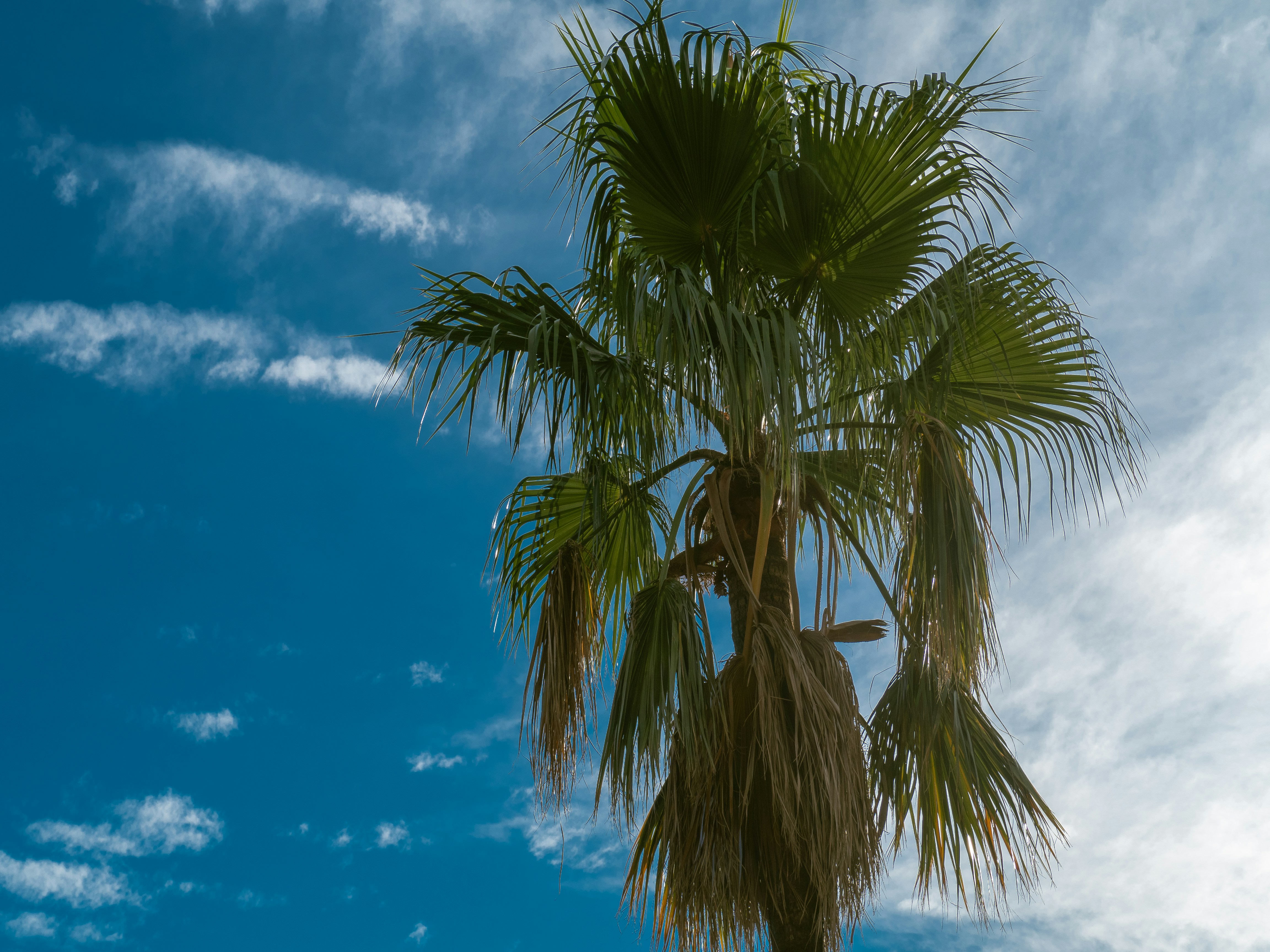 summer travel wallpaper, wallpaper, Travel Outfits for Summer: Stylish & Comfortable Ideas 5