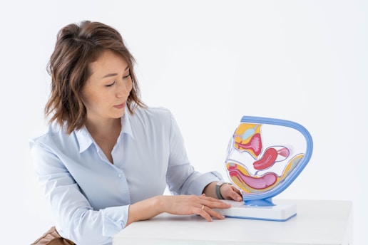 A person wearing a light blue shirt is seated at a white surface, attentively examining a colorful anatomical model of the human digestive system. The model is detailed, showing various organs in vibrant pink, yellow, and blue colors.