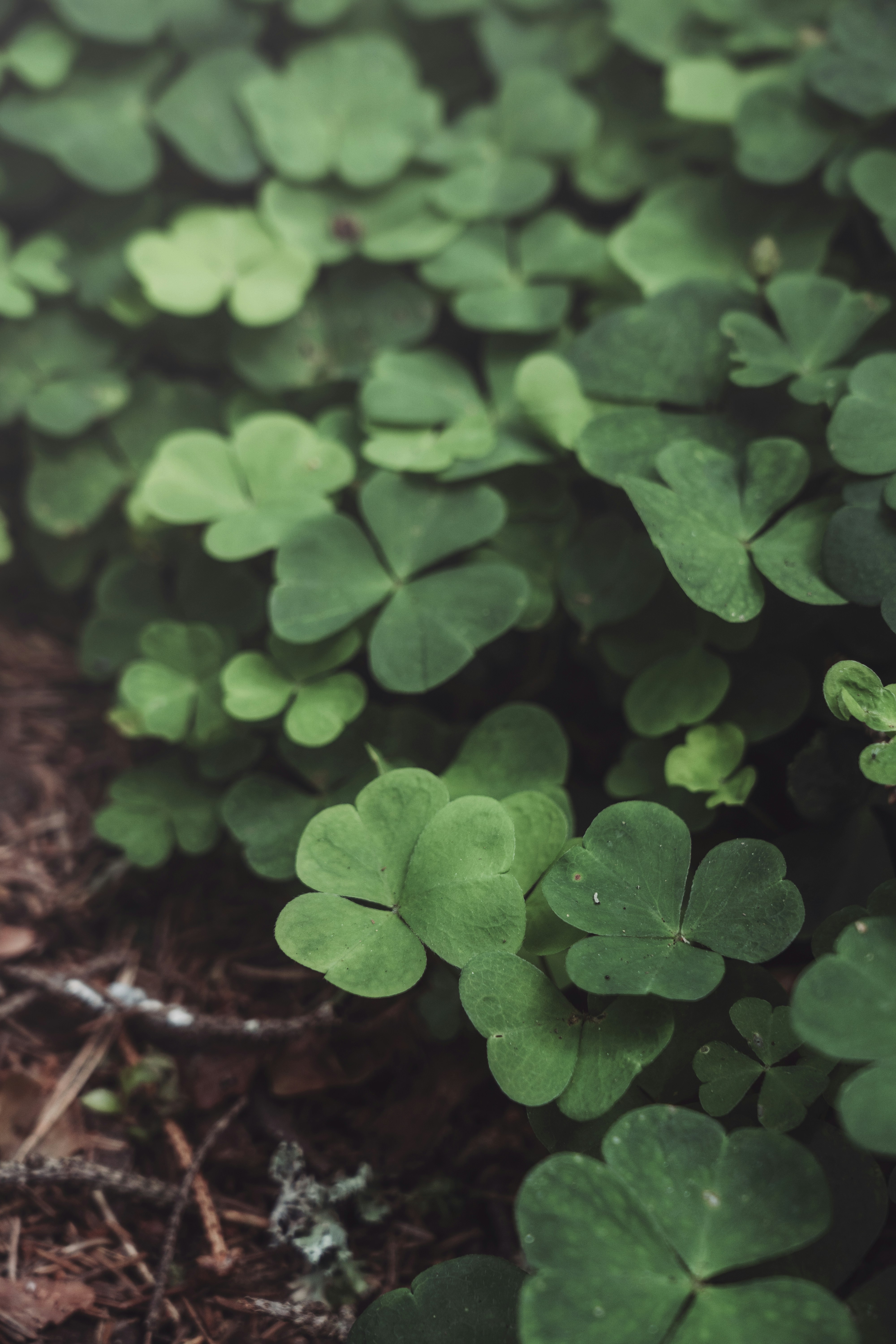 Photo by svetlanaaprel