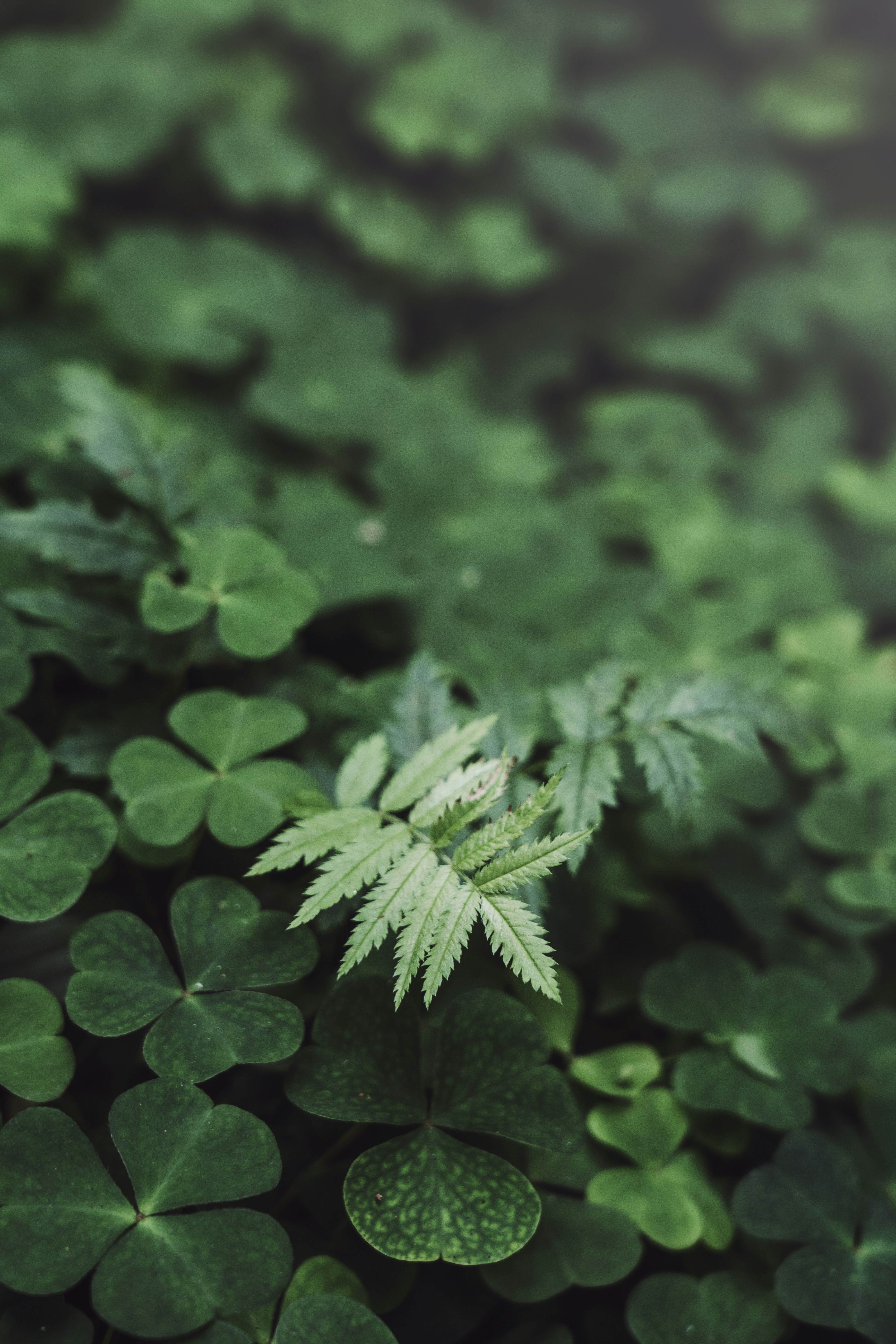 Photo by svetlanaaprel