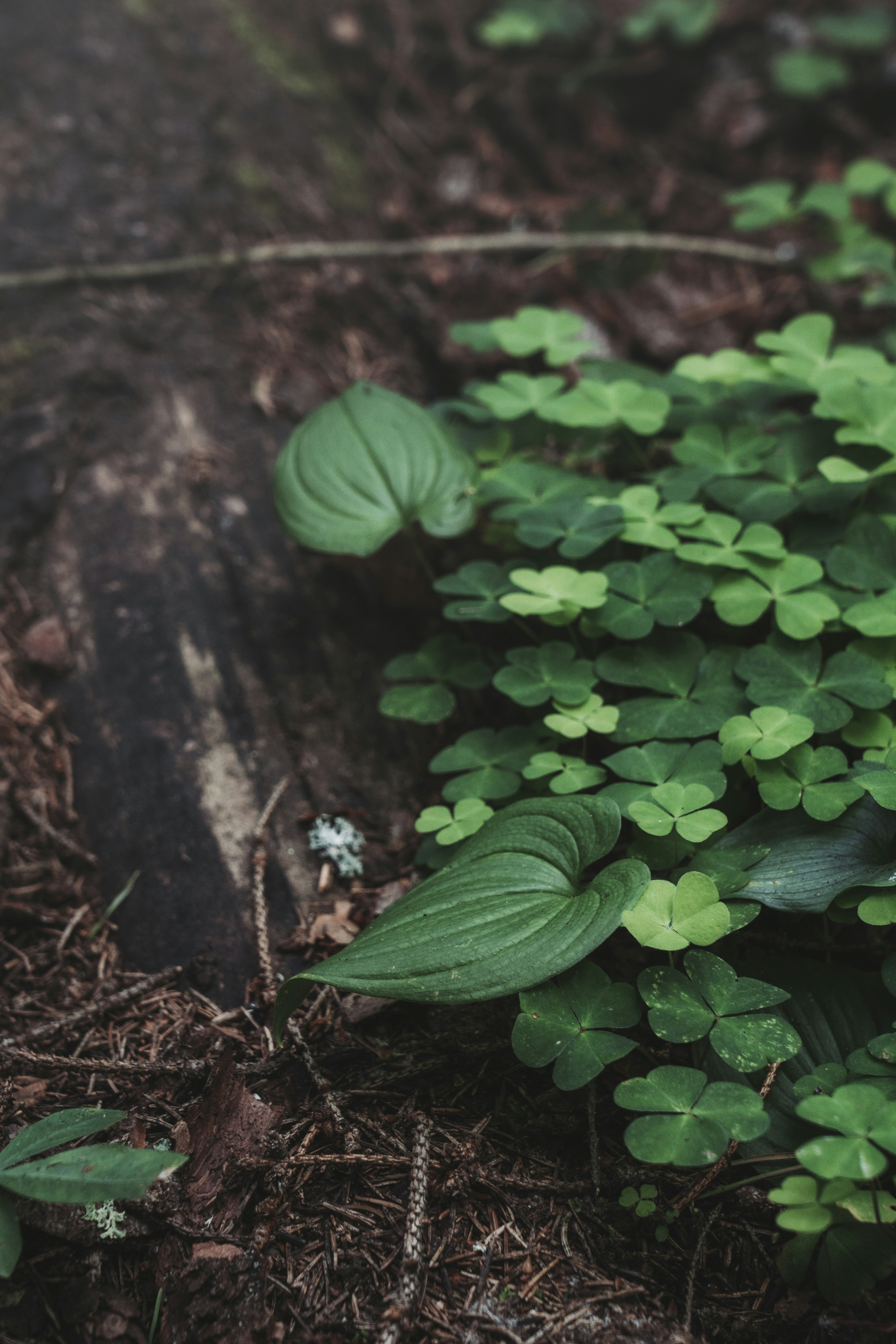 Photo by svetlanaaprel