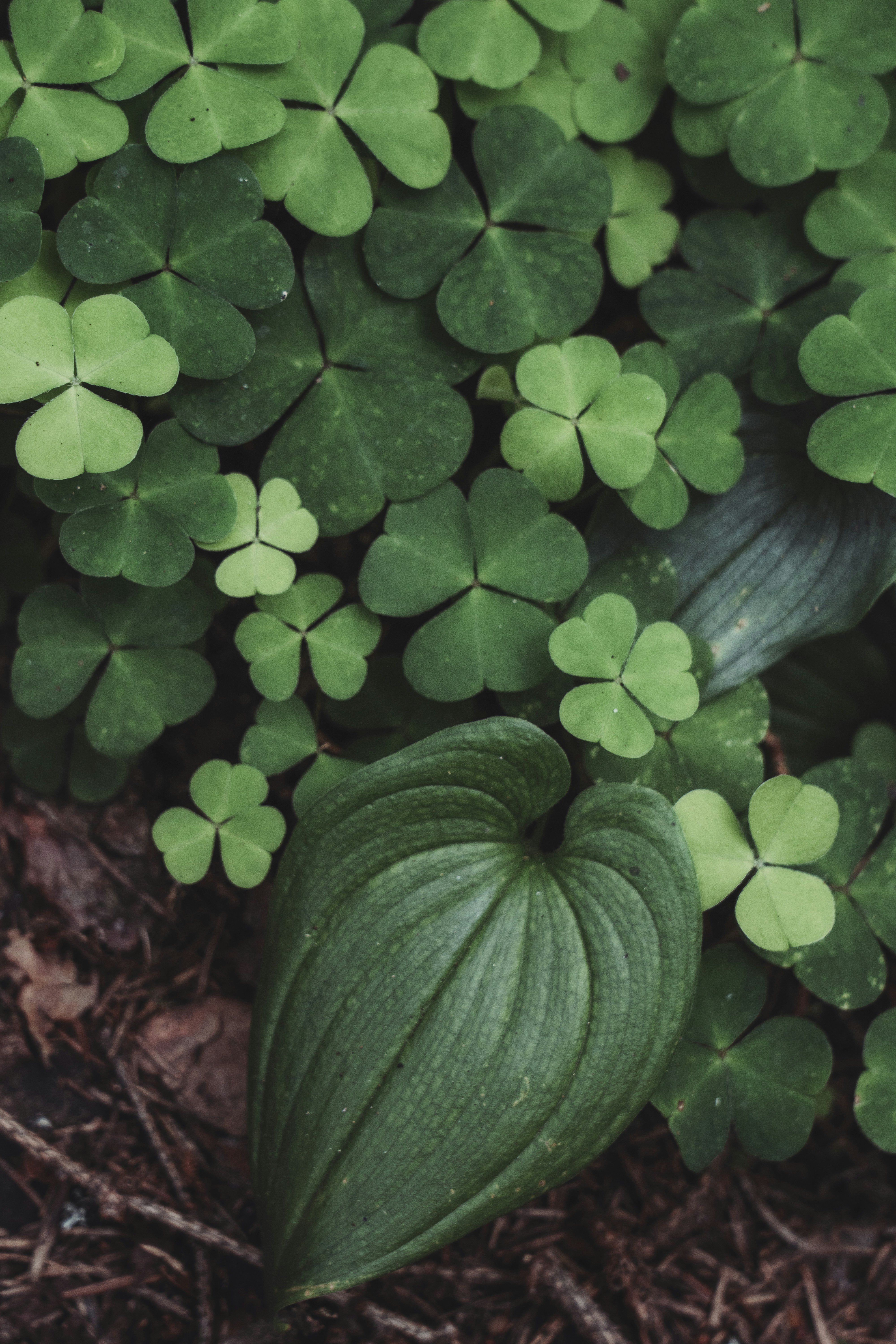 Photo by svetlanaaprel