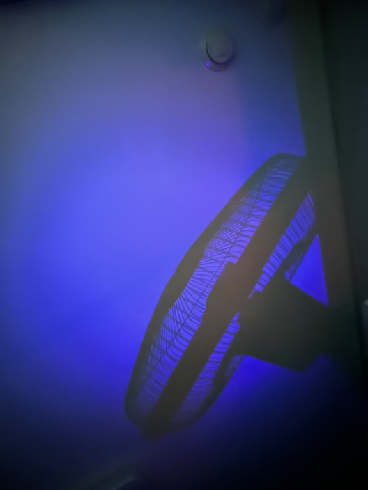 Modern ceiling fan spinning gently in a bright, airy living room