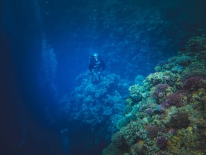 A scuba instructor guiding a beginner diver underwater near colorful coral.