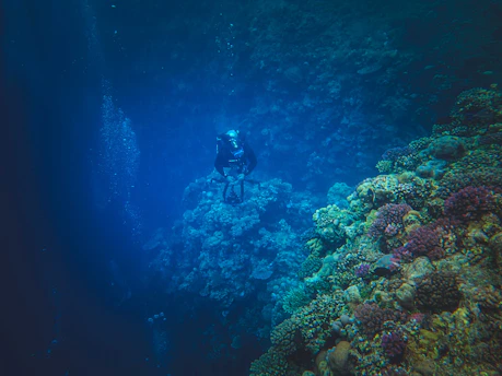 A serene underwater scene with a scuba diver exploring vibrant coral reefs.