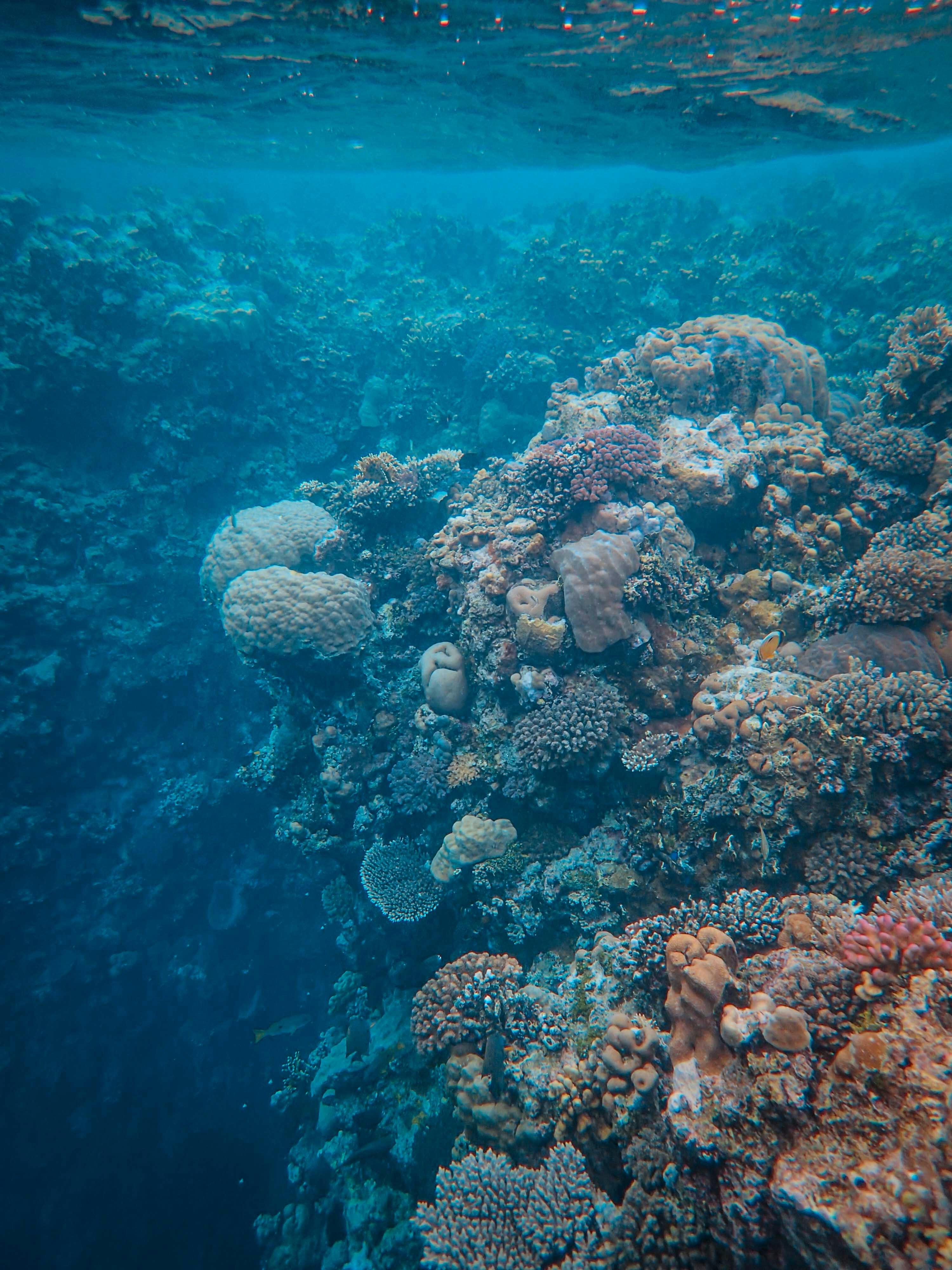 Photo by francesco_ungaro