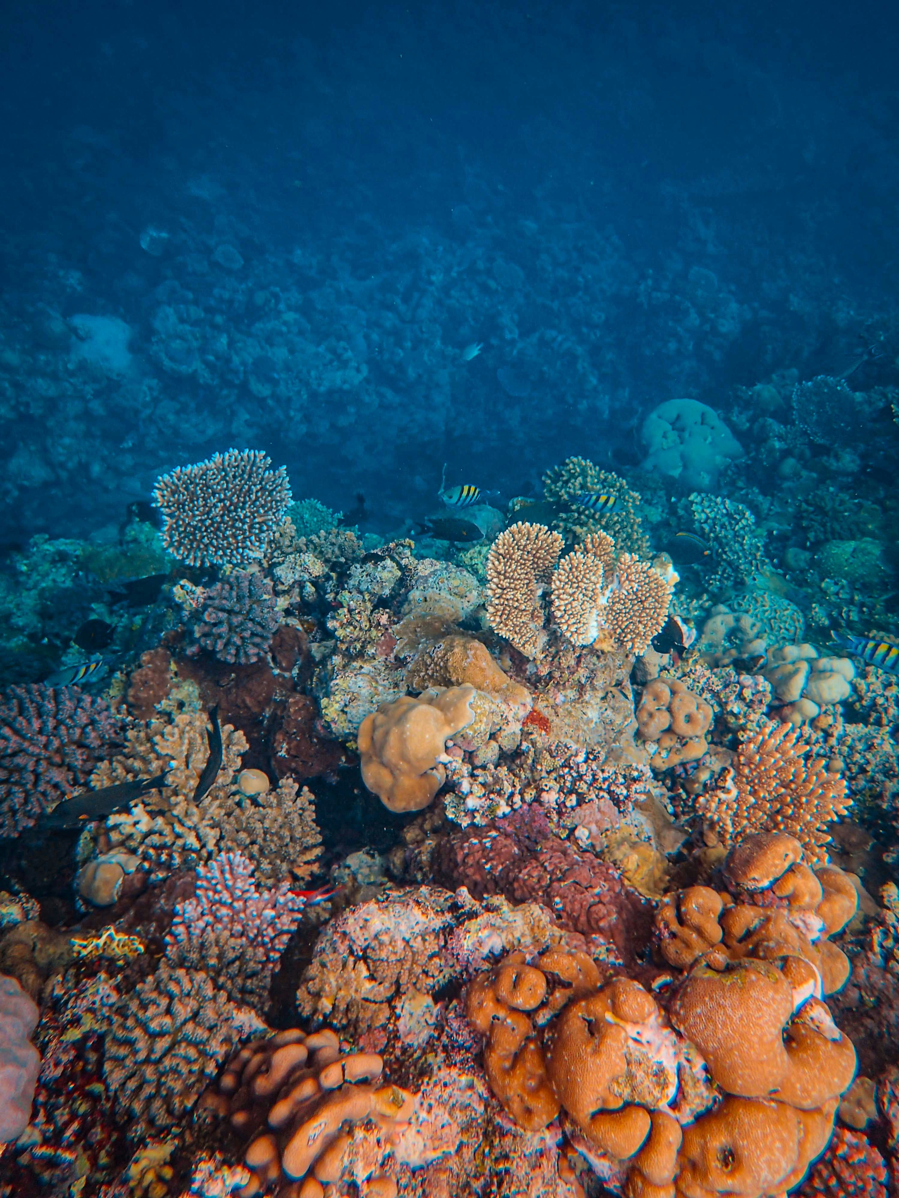 Photo by francesco_ungaro