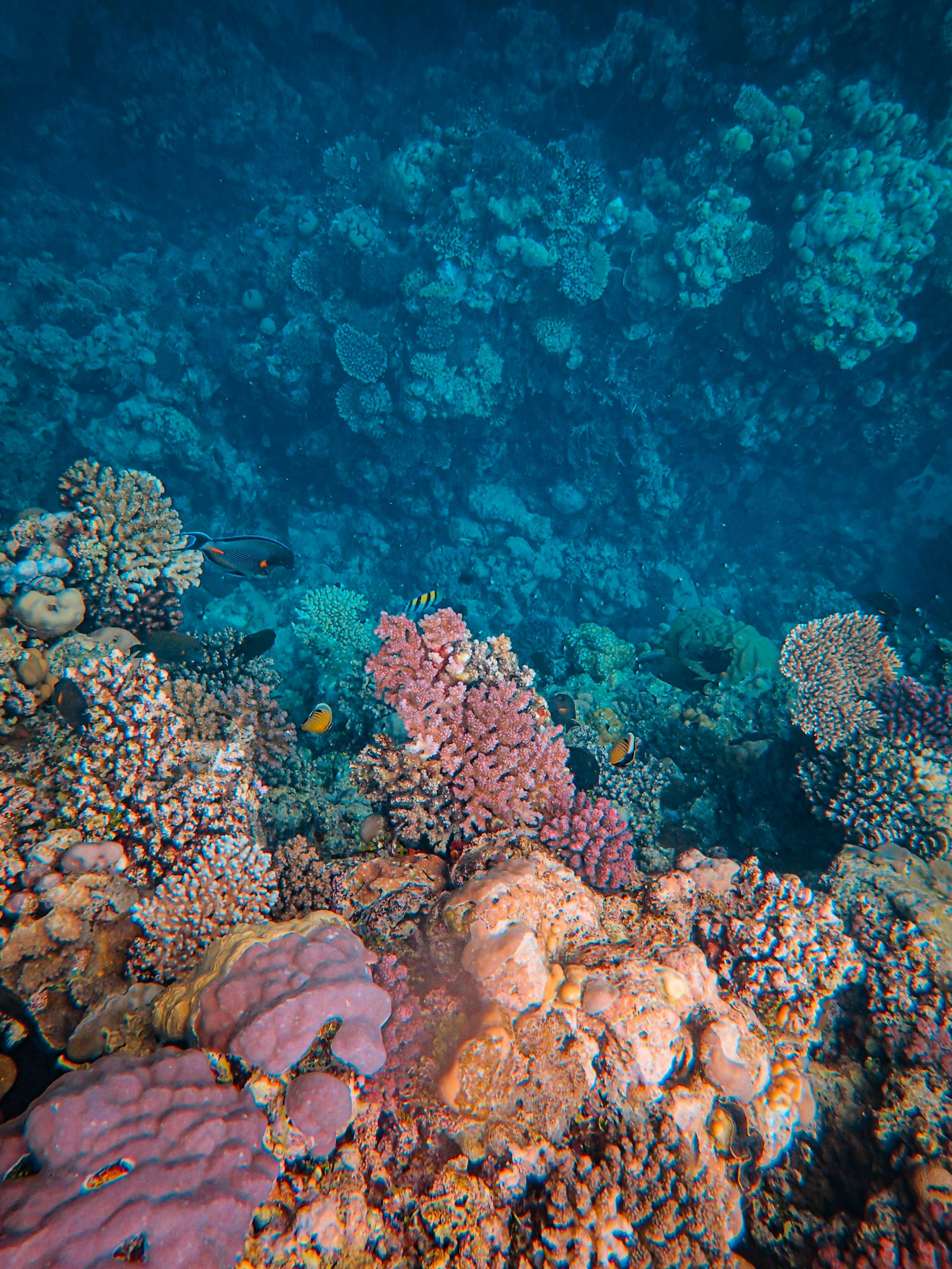 Photo by francesco_ungaro