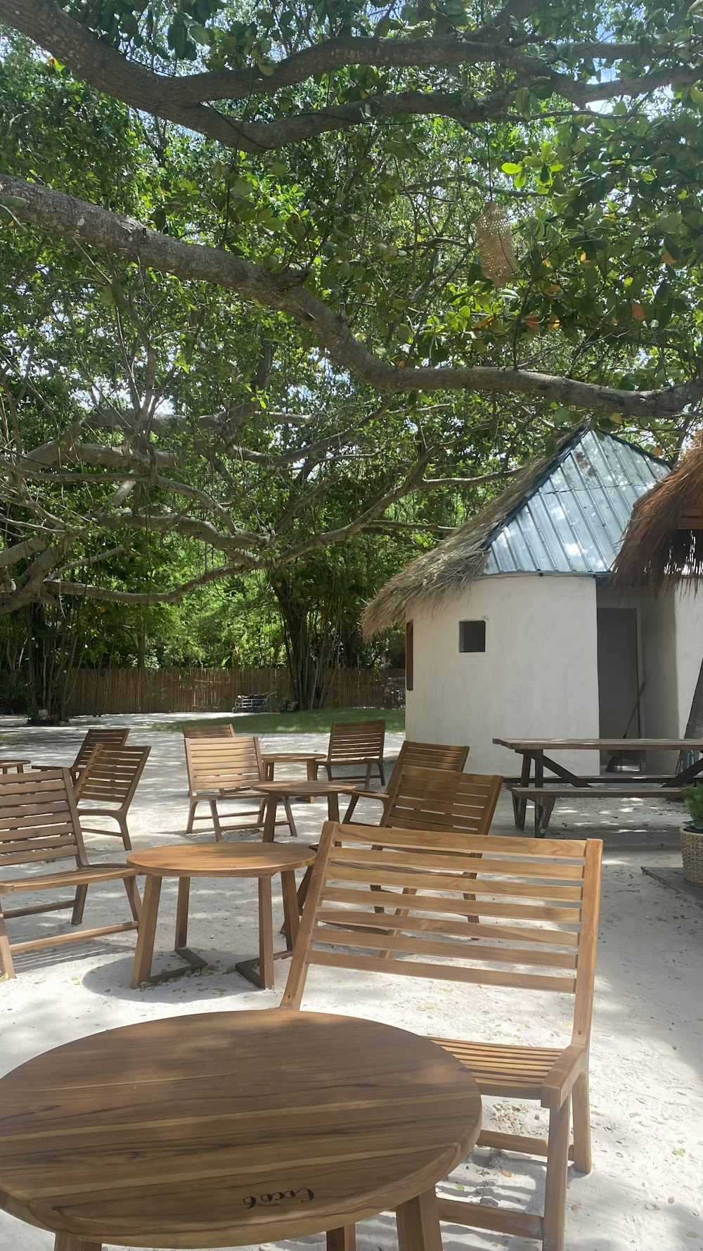 a group of wooden chairs sitting under a tree