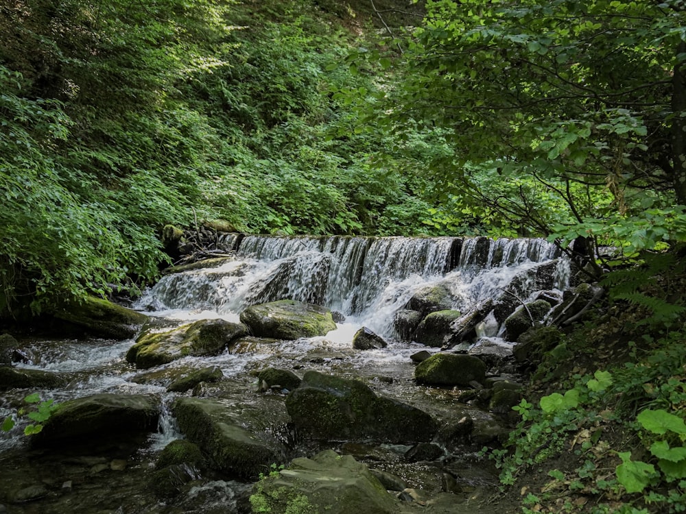 a small waterfall in the middle of a forest