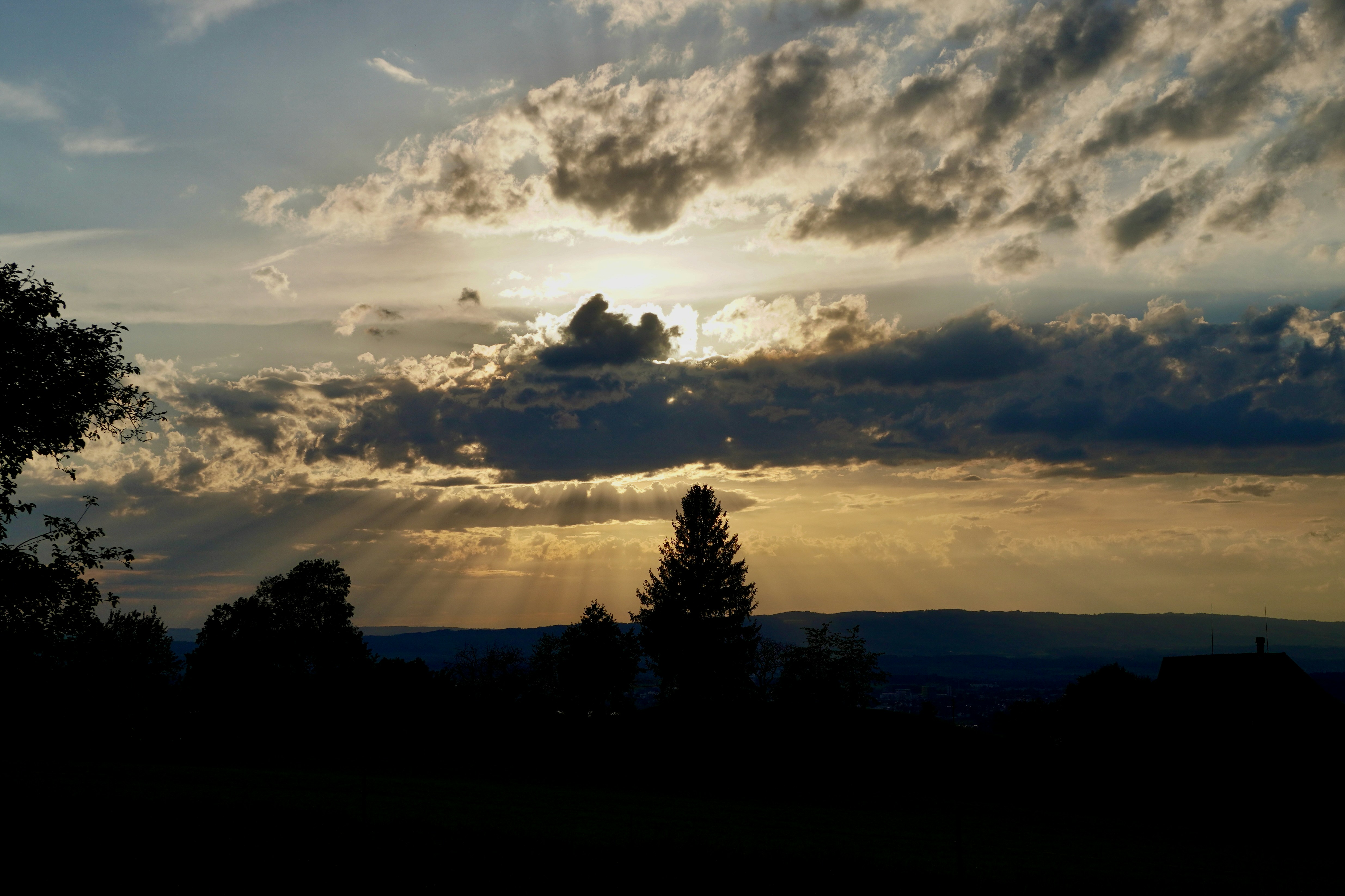 Photo by peterburdon