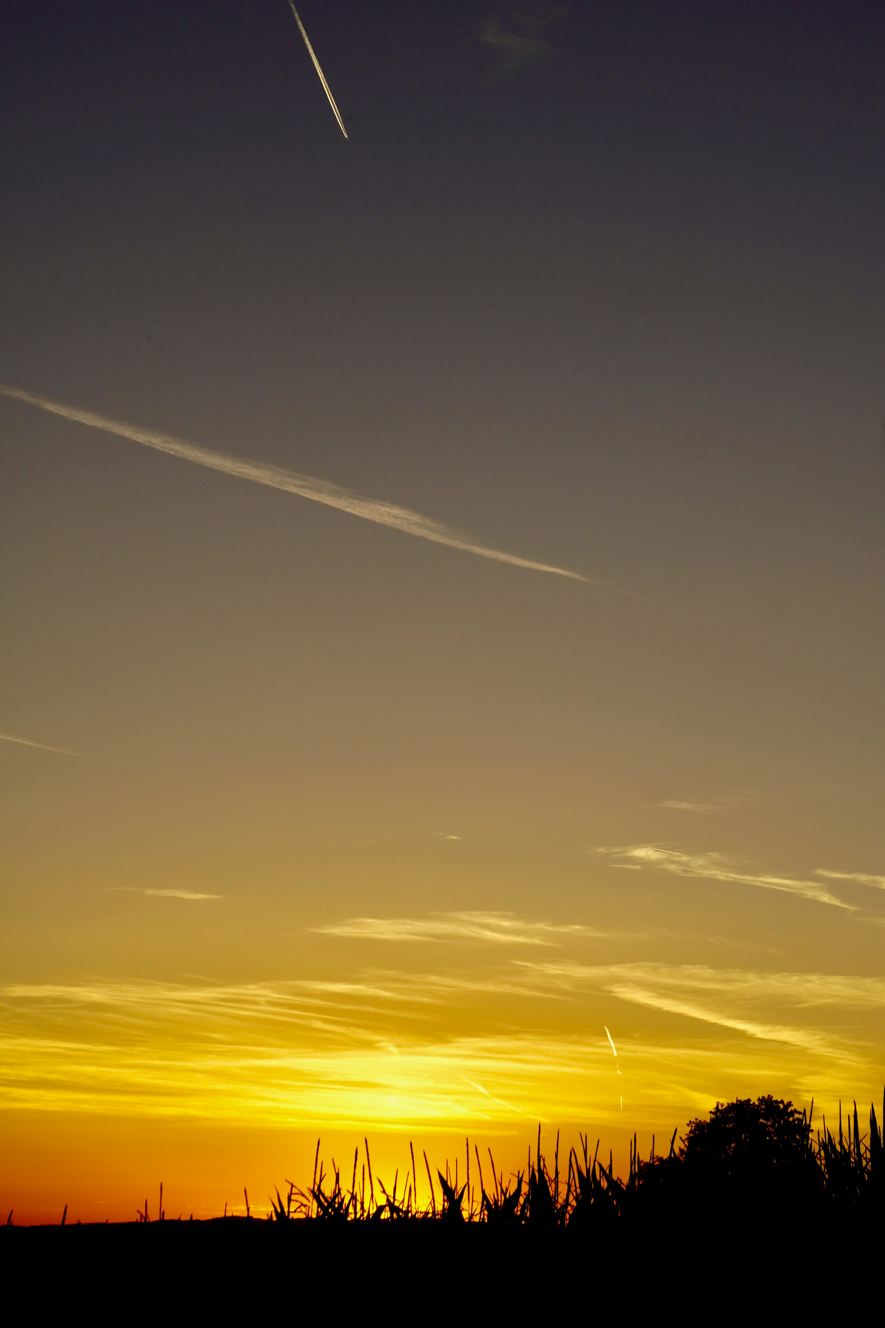 Photo by peterburdon