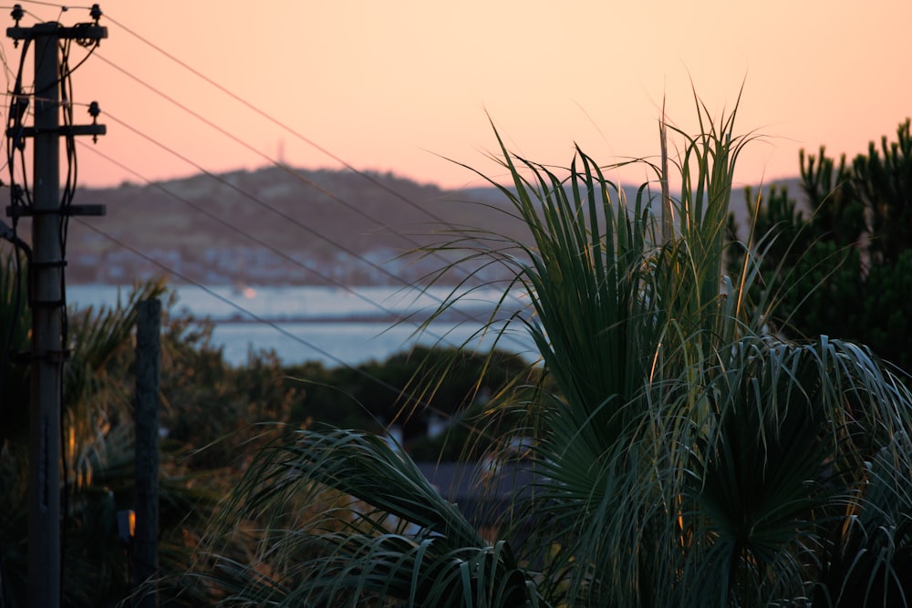 a view of a body of water at sunset