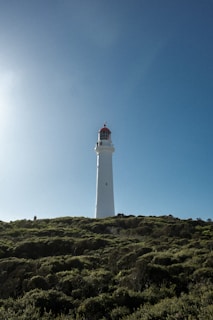 A tall white lighthouse stands prominently against a clear blue sky, surrounded by lush green shrubbery. The sun casts a bright light, creating a serene and peaceful atmosphere.