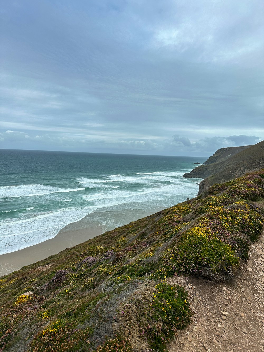 a bench sitting on the side of a cliff overlooking the ocean