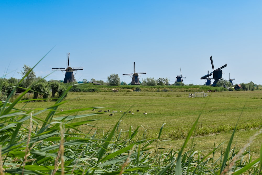 a row of windmills in a grassy field