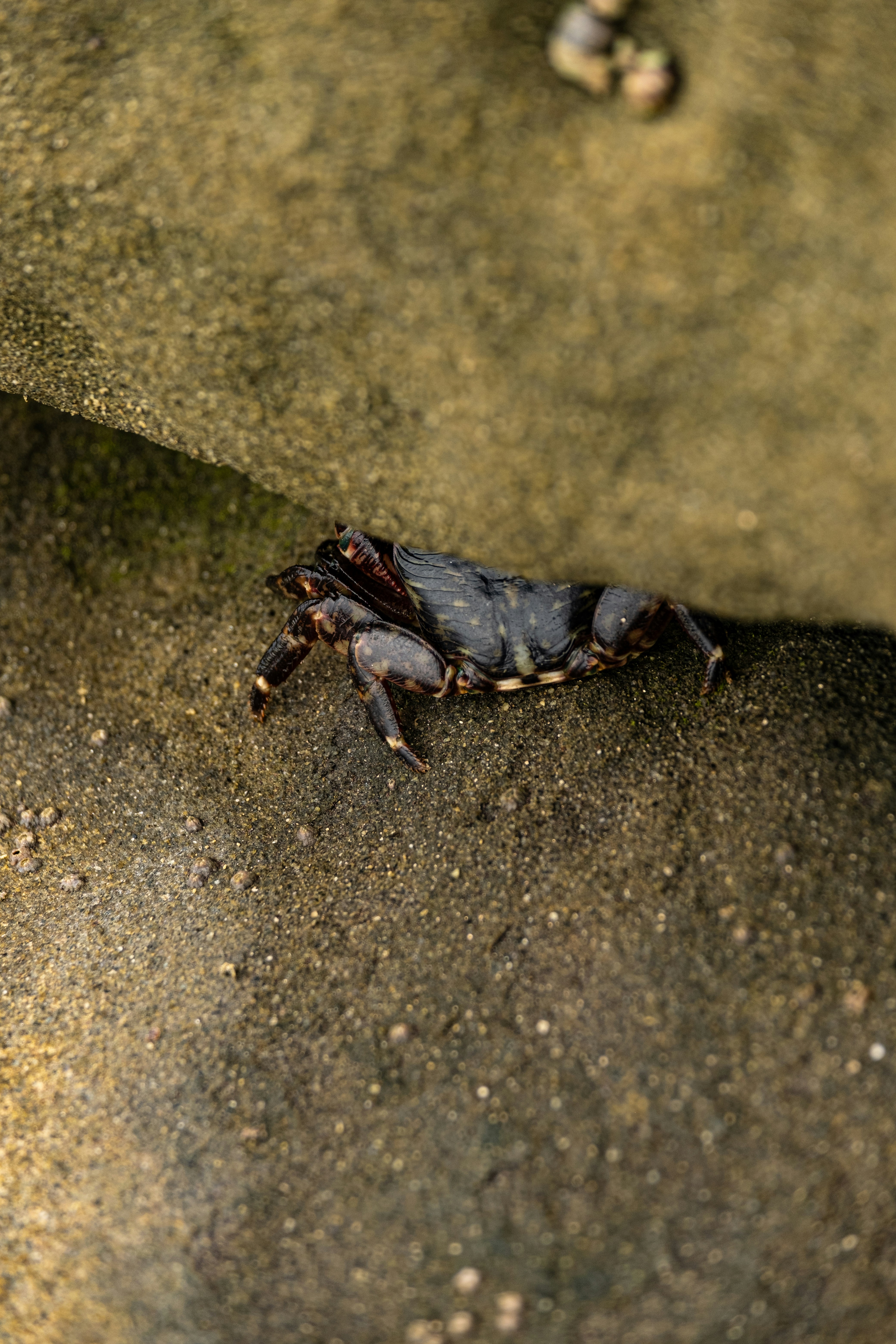 Photo by cestmoisheedy