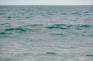 Waves gently roll across the expanse of a vast ocean, creating a rhythmic pattern on the surface of the water.