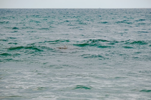 Waves gently roll across the expanse of a vast ocean, creating a rhythmic pattern on the surface of the water.