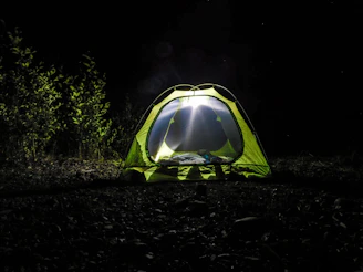 A cozy green tent pitched in a lush forest clearing during golden hour.