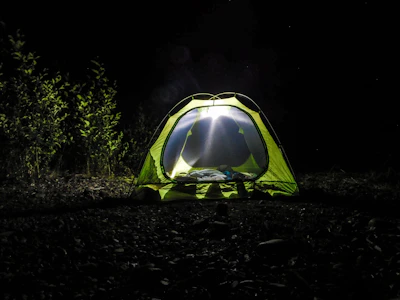 A cozy green tent pitched in a lush forest clearing during golden hour.