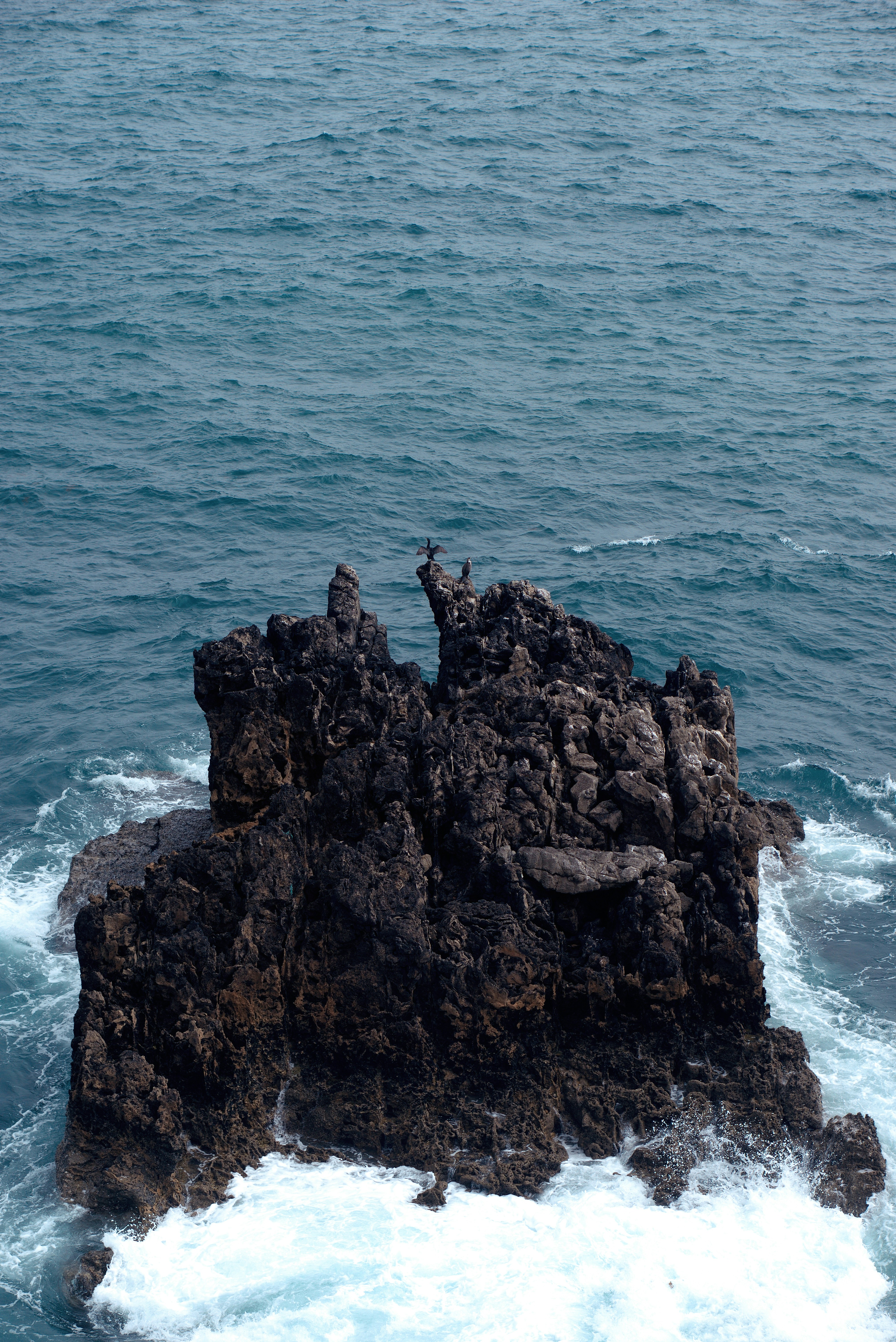 Photo by astashov_artem