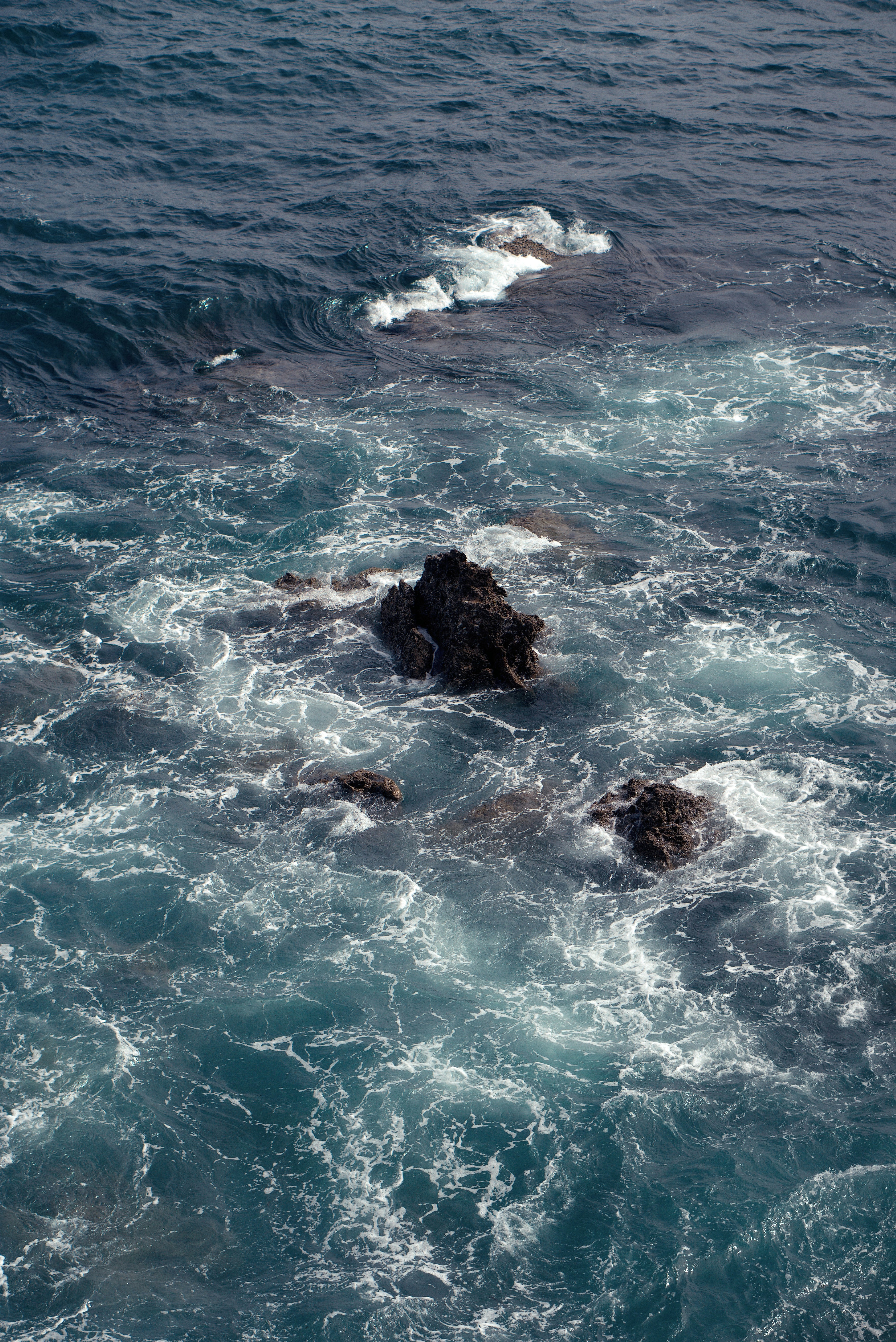 Photo by astashov_artem