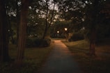 A serene digital grove with softly glowing lights at dusk.