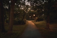 A peaceful walking path surrounded by green open spaces and tall trees at dusk.