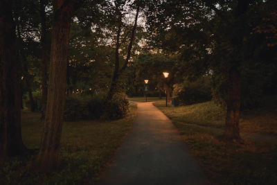 A peaceful garden path at dusk with soft lighting, inviting calm and quiet.