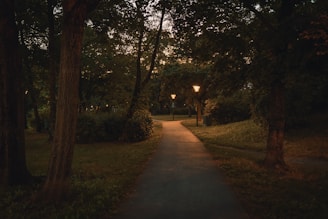 A peaceful walking path surrounded by green open spaces and tall trees at dusk.