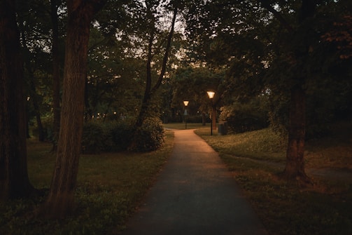 A serene digital grove with softly glowing lights at dusk.